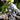 Downhill  SPECIALIZED