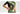 Maillot de manga corta Specialized Foundation Graphic para hombre  Specialized