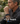 Hume Longevity Band 2.0  SPECIALIZED